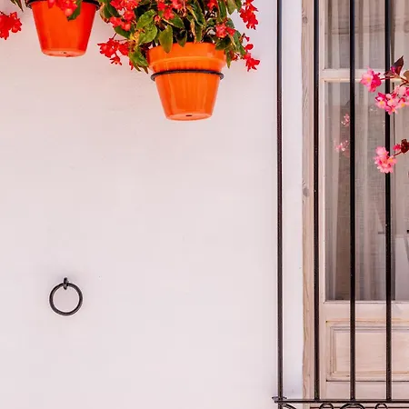 Apartament Casa Del Patio - Boutique (adults Only) Estepona
