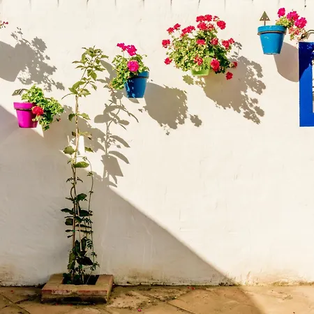 Apartmán Casa Del Patio - Boutique (adults Only)